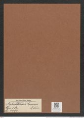 Aulacodiscus brownei Norm. (de-Toni-Nr.: Genus 182, Species 4494) Zeichnungen Sammlung Grunow Mappe 04412 (Herbarium_W_Grunow_drawings_Folder_04412)